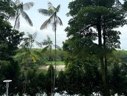 Rio Vista (D19), Condominium #461814861